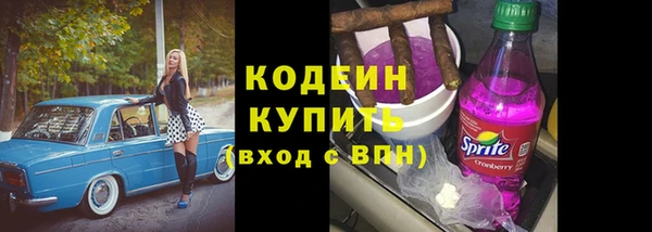 ECSTASY Алзамай