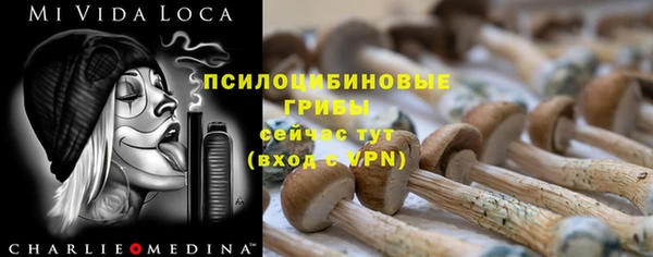 стаф Алексеевка
