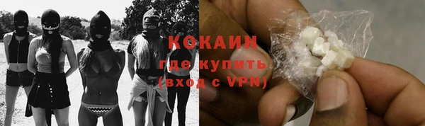ECSTASY Алзамай