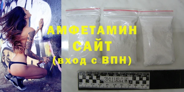 ECSTASY Алзамай