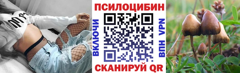 как найти наркотики мега маркетплейс Псилоцибиновые грибы ЛСД Пыталово